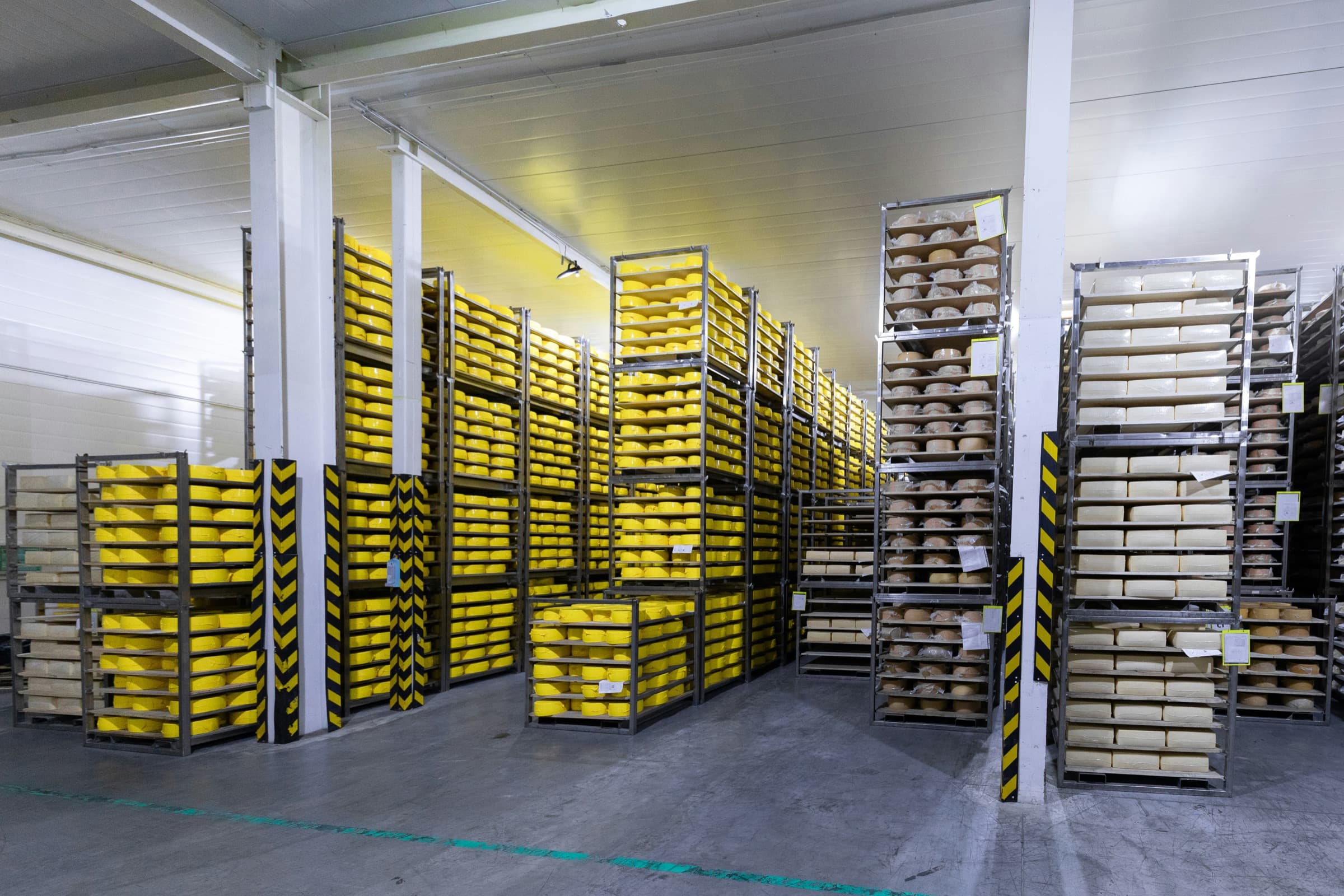 Cold storage warehouse racks with organized cheese inventory